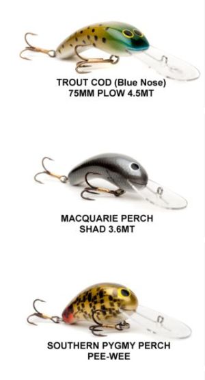 Oar-Gee that’s a good cause